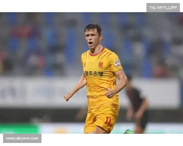 光州FC前锋阿萨尼韧带撕裂赛季报销影响球队争冠附加赛前景