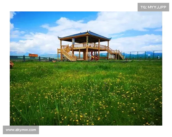 若尔盖推出越野与观光结合旅游新方案串联核心景点打造非洲体育旅游新体验